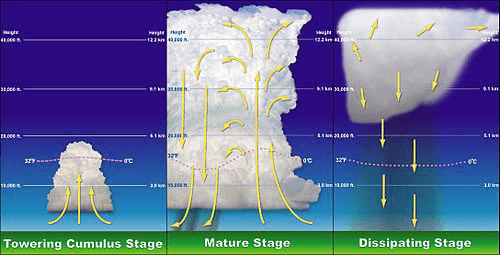 Thunderstorm lifecycle